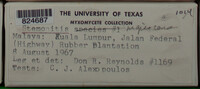 Image Associated With the Occurence